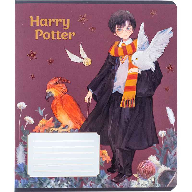 Зошит шкільний Kite Harry Potter HP24-236, 18 аркушів, клітинка