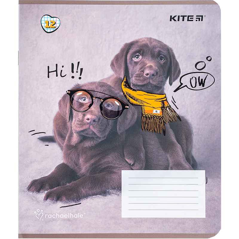 Тетрадь школьная Kite Rachael Hale R24-232, 12 листов, клетка