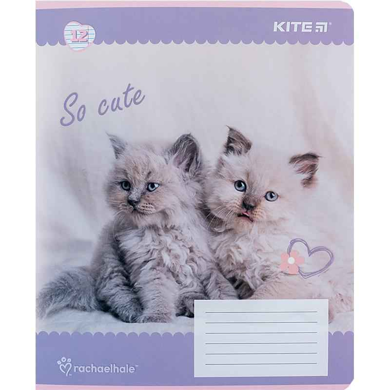 Тетрадь школьная Kite Rachael Hale R24-234, 12 листов, в линию