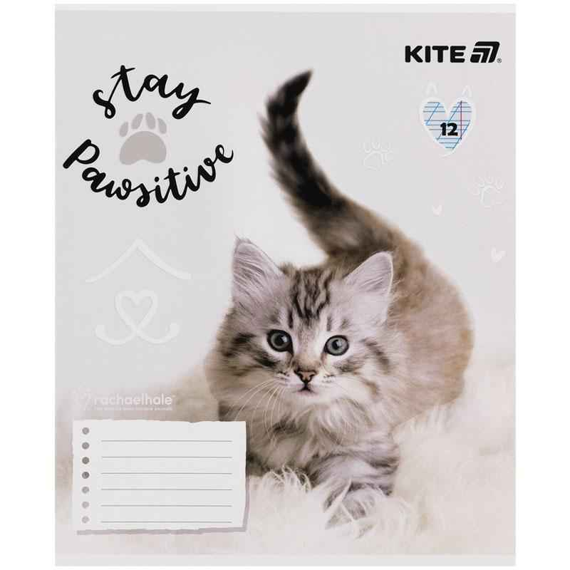 Зошит шкільний Kite Rachael Hale R25-235, 12 аркушів, коса лінія