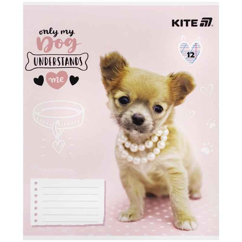 Зошит шкільний Kite Rachael Hale R25-235, 12 аркушів, коса лінія