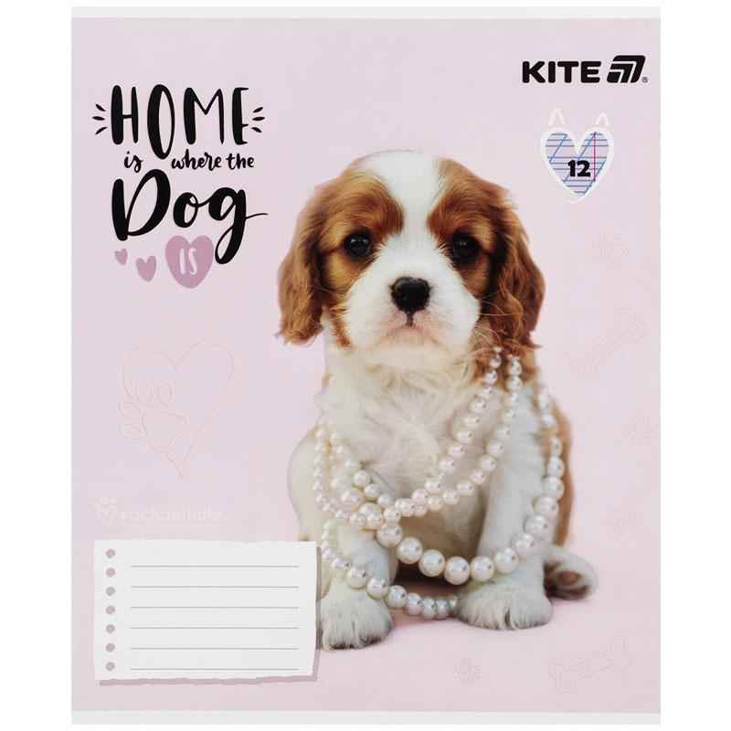 Зошит шкільний Kite Rachael Hale R25-235, 12 аркушів, коса лінія