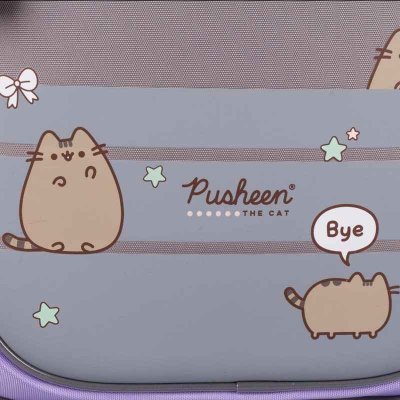 Рюкзак школьный полукаркасный YES Pusheen Playful S-109, 559880