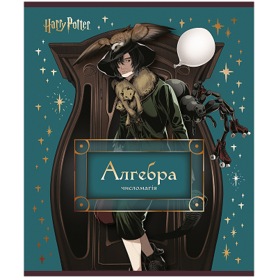Зошит предметний Kite Harry Potter HP25-240-3, 48 аркушів, клітинка, алгебра