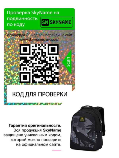Рюкзак Winner / SkyName 90-122 молодежный