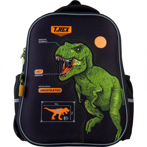 Рюкзак GoPack Education полукаркасный GO21-165M-6 Dinosaur
