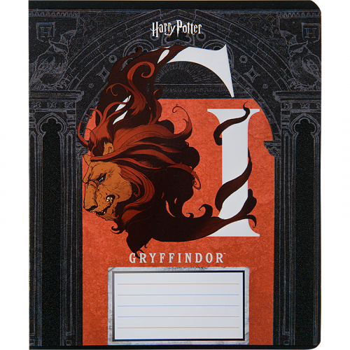 Зошит шкільний Kite Harry Potter HP22-236, 18 аркушів, клітинка