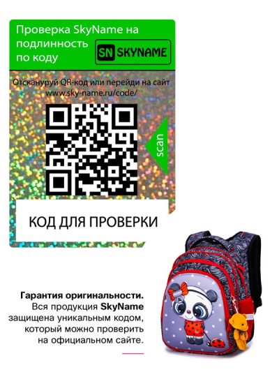 Рюкзак школьный ортопедический SkyName R2-182