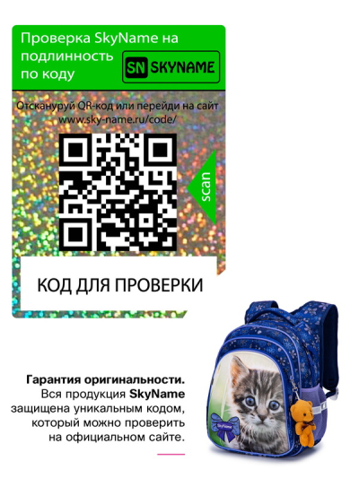 Рюкзак шкільний ортопедичний SkyName R2-185