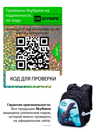 Рюкзак школьный ортопедический SkyName R2-189