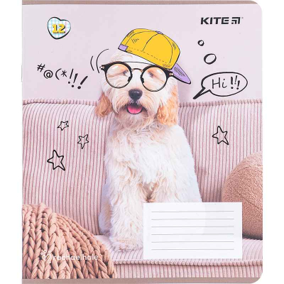 Тетрадь школьная Kite Rachael Hale R24-232, 12 листов, клетка