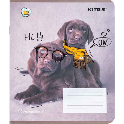 Тетрадь школьная Kite Rachael Hale R24-232, 12 листов, клетка