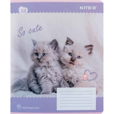 Тетрадь школьная Kite Rachael Hale R24-234, 12 листов, в линию