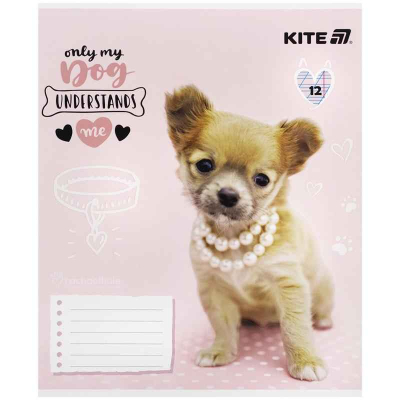 Зошит шкільний Kite Rachael Hale R25-235, 12 аркушів, коса лінія