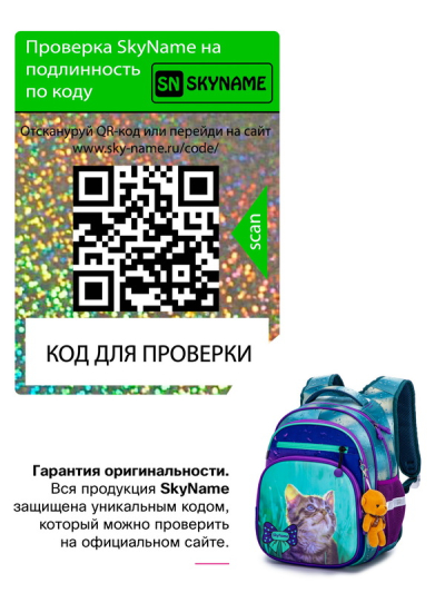 Рюкзак школьный ортопедический SkyName R3-242