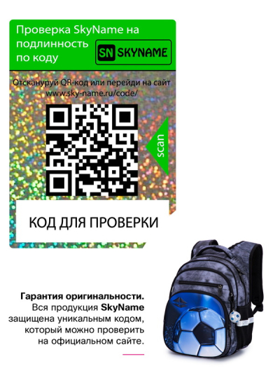 Рюкзак шкільний ортопедичний SkyName R3-249