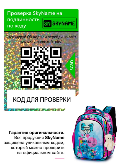 Рюкзак школьный ортопедический SkyName R4-411