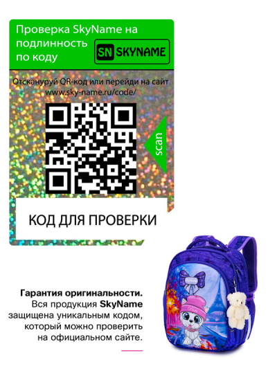 Рюкзак школьный ортопедический SkyName R4-413