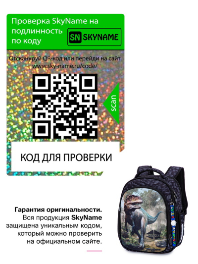 Рюкзак школьный ортопедический SkyName R4-415